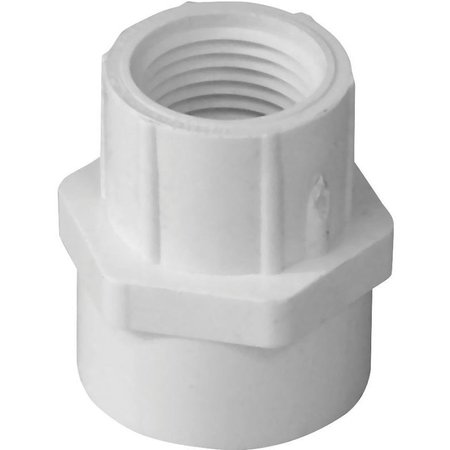 LASCO Pipe Adapter, 34 x 12 in, Slip x FPT, PVC, White, SCH 40 Schedule 435101BC